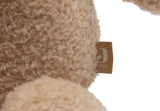Jollein peluche veilleuse musicale Bear Brave 037-100-68243