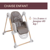 Chicco chaise haute polly armonia scandinavian 07087140610000 EXPO (pas d'envoi)