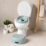 Nattou petit pot wc potty 3 en 1 vert sauge 155007