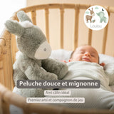 Nattou Loulou peluche âne 30cm vert foncé 318006