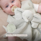 Nattou doudou éléphant Loulou vert tilleul 318105