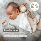 Nattou  Loulou maxi doudou âne caramel 318129