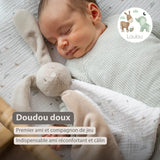 Nattou maxi doudou lapin Loulou écru 318136