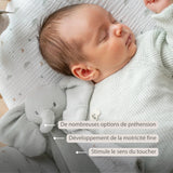 Nattou maxi doudou éléphant Loulou vert tilleul 318143