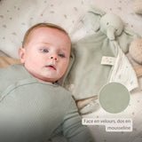 Nattou maxi doudou éléphant Loulou vert tilleul 318143