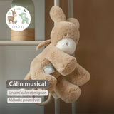 Nattou Loulou peluche musicale âne 30cm caramel clair 318167