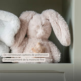 Nattou Loulou mini peluche musicale lapin sable 318440