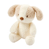 Nattou peluche bébé chien Teddy 856317