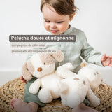 Nattou peluche bébé chien Teddy 856317