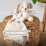 Nattou peluche bébé chien Teddy 856317