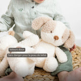 Nattou peluche bébé chien Teddy 856317