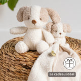 Nattou peluche bébé chien Teddy 856317