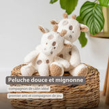 Nattou peluche bébé girafe Teddy 856355