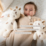 Nattou peluche bébé girafe Teddy 856355