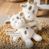 Nattou peluche bébé girafe Teddy 856355