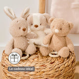 Nattou peluche musicale bébé ours 25cm Teddy beige 856379