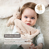 Nattou Teddy doudou bébé lapin beige 856430
