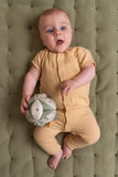 Little Dutch balle de préhension Little Farm LD8825