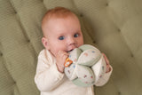 Little Dutch balle de préhension Little Farm LD8825