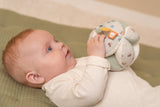 Little Dutch balle de préhension Little Farm LD8825