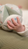Little Dutch balle de préhension Little Farm LD8825