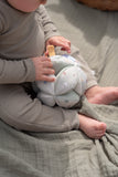 Little Dutch balle de préhension Little Farm LD8825