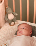 Noukie's Peluche mini musicale Stegi en mousseline BIO, eucalyptus N2112.21