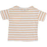 Bean's T-shirt OCEAN Striped slub cot. Abricot S2324665