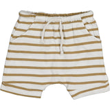 Bean's Short LOBSTER- Striped fleece Camel S2326581